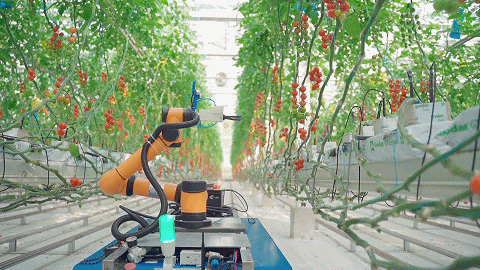 果蔬采摘机器人图片